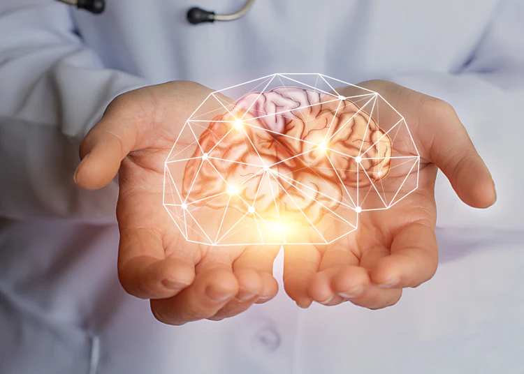 Doctor holding vector image of brain in hands