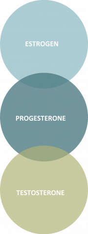 vin diagram labeled with estrogen, progestrone, testosterone